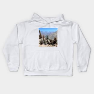 SCENERY 93 - Summer Desert Cactus Plant Landscape Wilderness Kids Hoodie